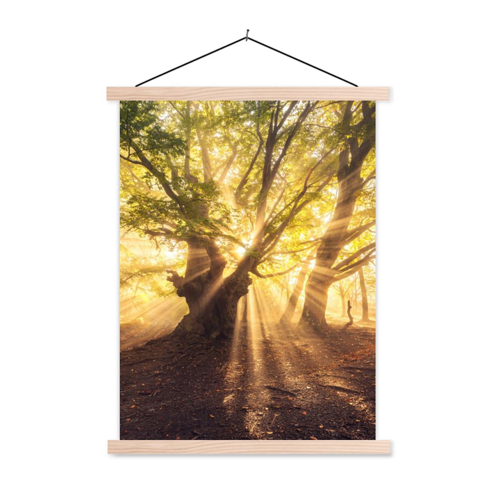 MuchoWow Textilposter Baum - Wald - Sonne 120x160 cm mit holzfarbenen Rahmen - Plakatkarton