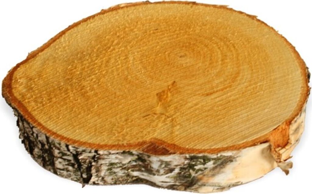 Rondelles d'arbre 1 pc. Bois de décoration Rondelle de bois Image du produit 