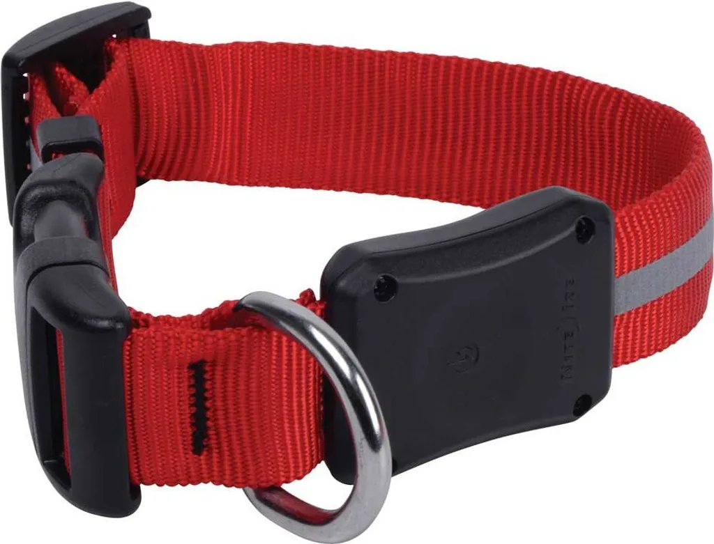 Collier de promenade Nite Ize rouge pour chien de petite taille 25cm