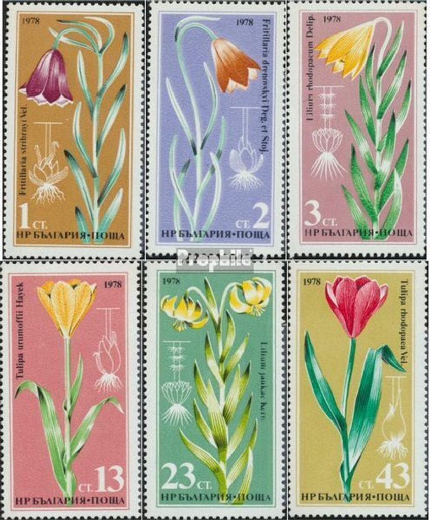 Briefmarken Bulgarien 1978 Mi 2686-2691 (kompl.Ausg.) postfrisch Liliengewächse