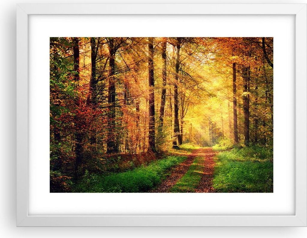 Gerahmtes Poster - Weißer Rahmen - Wald Baum Natur - 40x30 cm - Wand Bild - Wanddeko - Wandbilder - Kunstposter - Wandposter - Bilderrahmen - Bild...