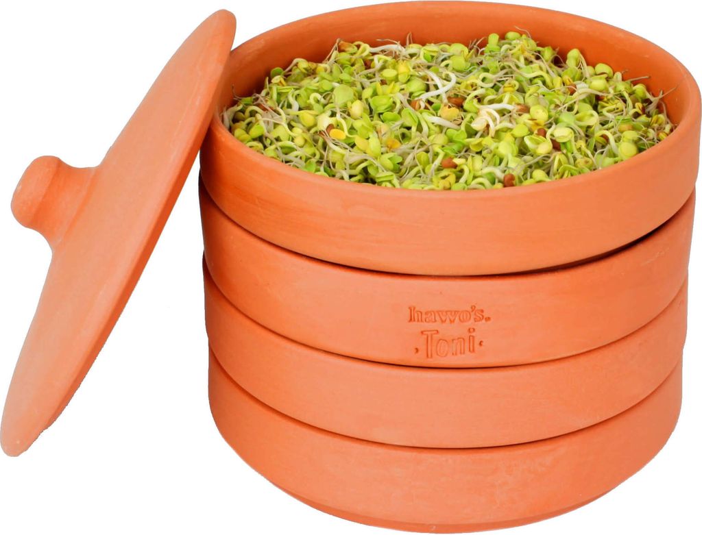 Hawos Toni Keimgerät Tonkeimer Sprossen Samenkörner 15 cm