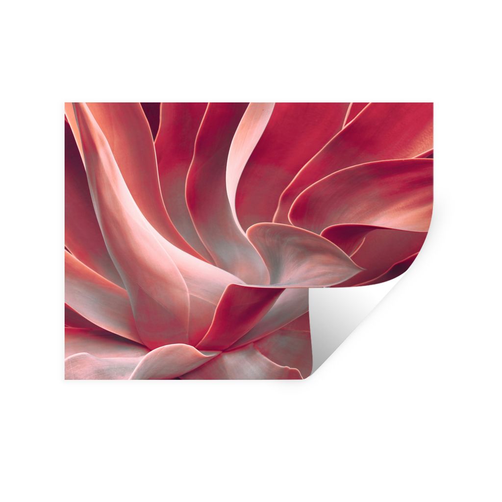 MuchoWow Wandtattoo Wandsticker Wandaufkleber Stilleben - Blätter - Pflanze - Rosa 40x30 cm Selbstklebend und Repositionierbar - Faltenfrei