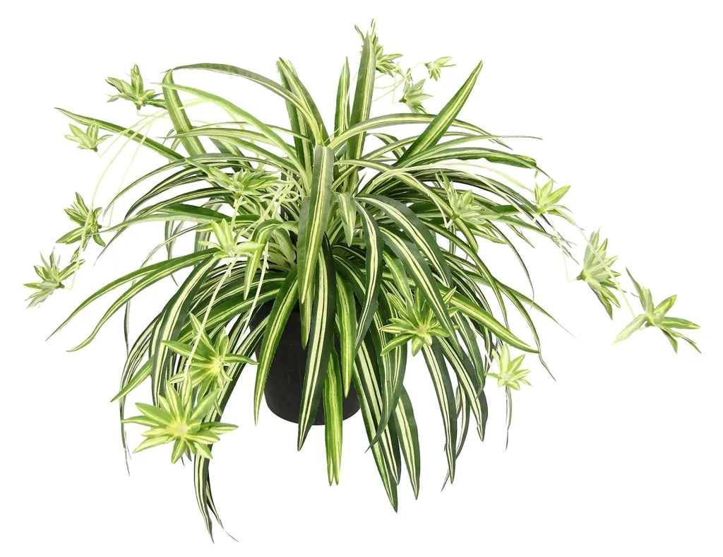 Lis vert artificiel en pot - Plante suspendue en soie pour décoration