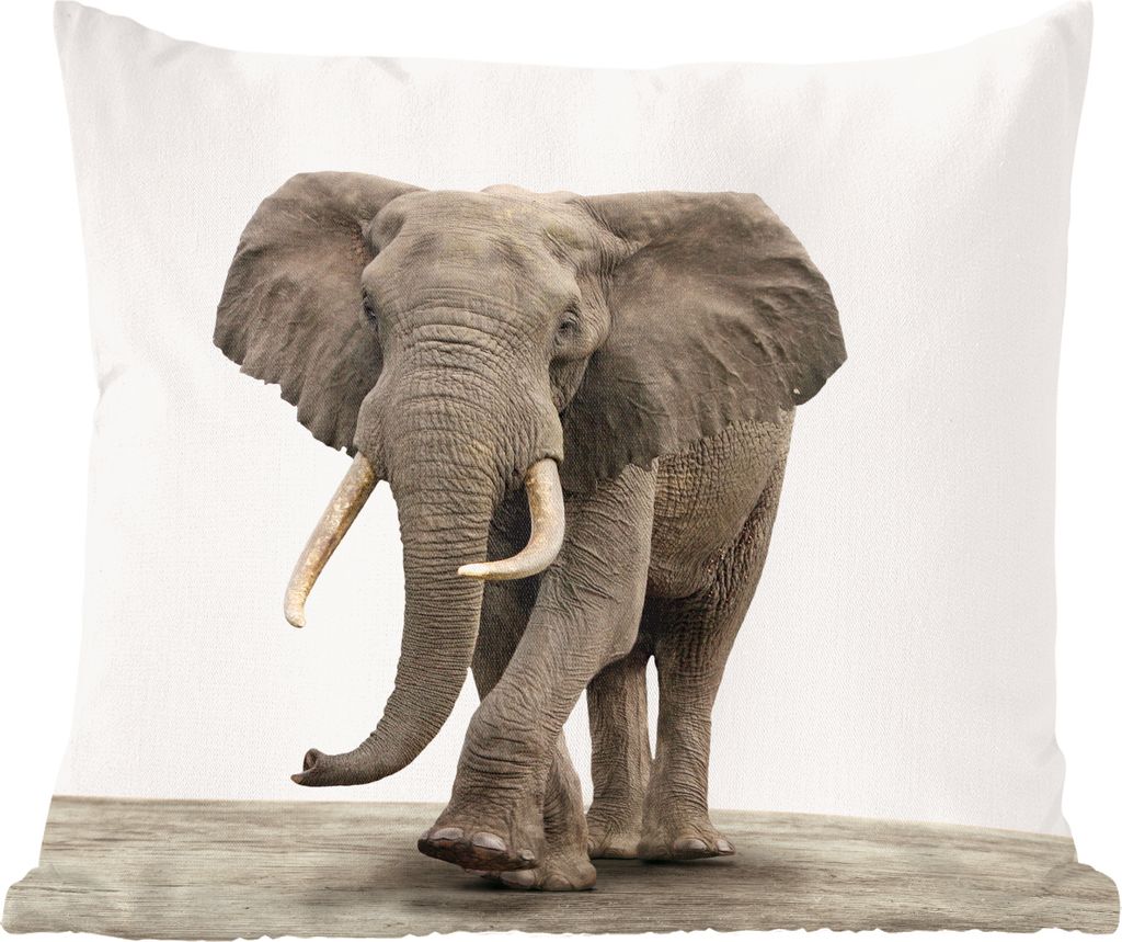 MuchoWow Zierkissen Sofakissen Wohnzimmer Dekokissen 40x40 cm Tiere - Elefant - Grau - Foto Kissen - Schlafzimmer Dekoration