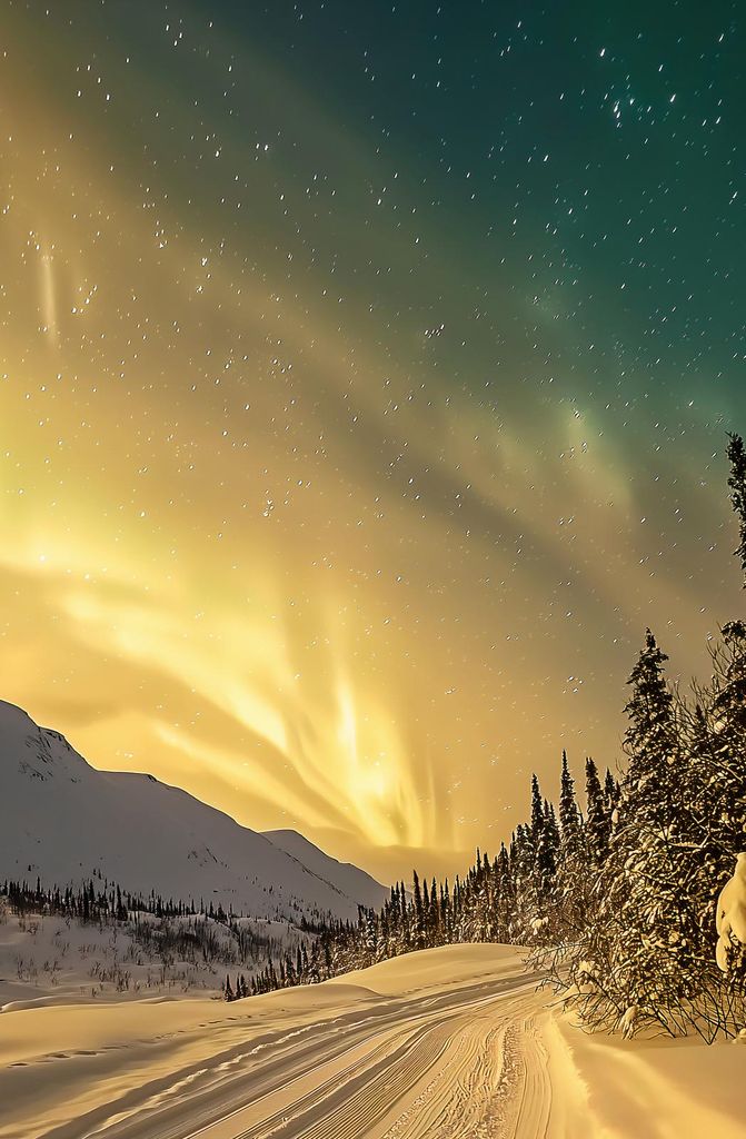 Plakat 56,6x86,4cm Polarlicht im Winter