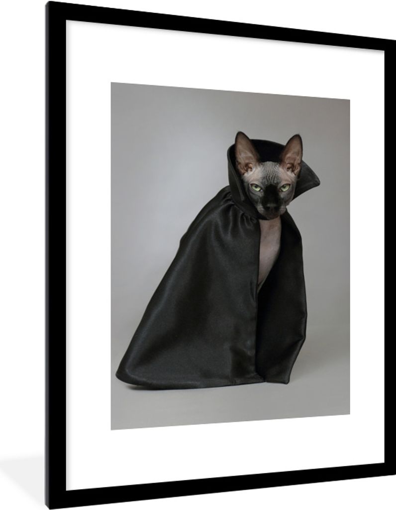 MuchoWow MuchoWow Gerahmtes Poster Katze - Umhang - Schwarz 60x80 cm - Poster mit zchwarzem Bilderrahmen - Wohnzimmer - Dekorationen - Prämie