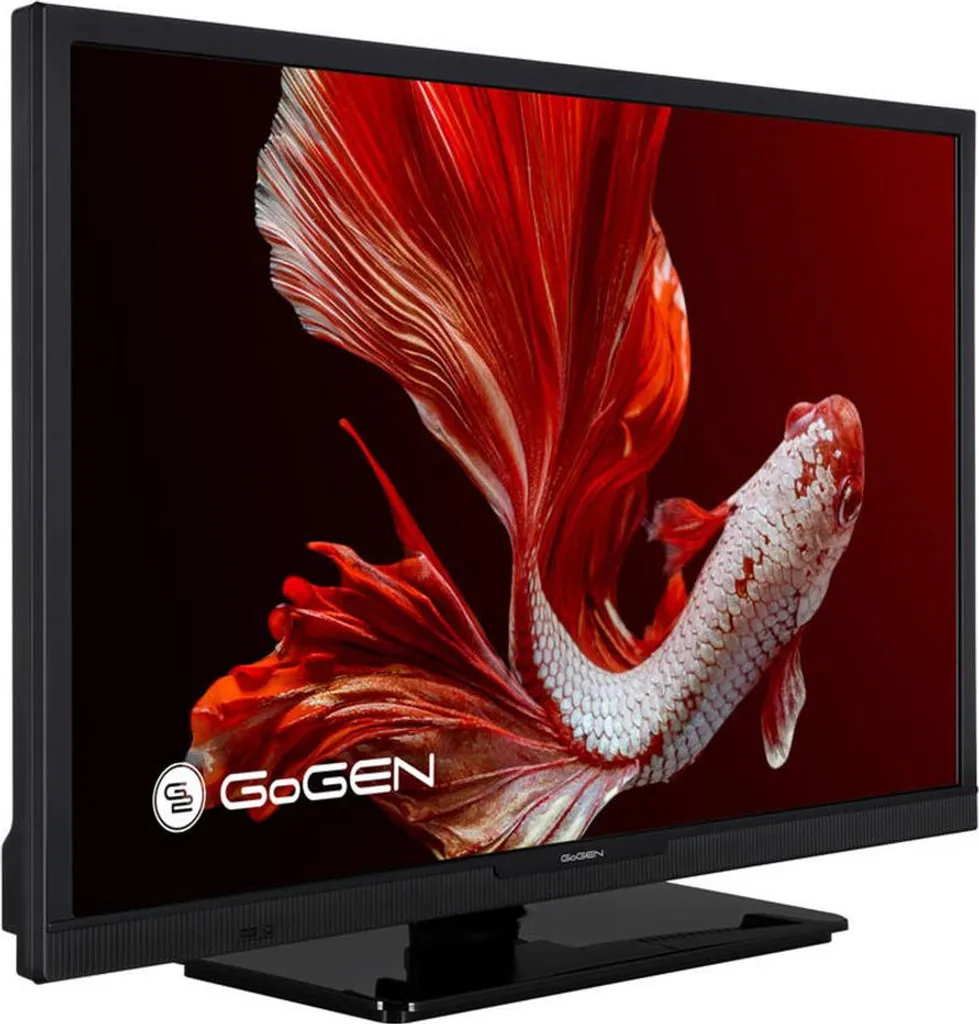 TV LED GoGEN TVH 24P452T Noir de 24 pouces avec Tuner DVB-T2 intégré
