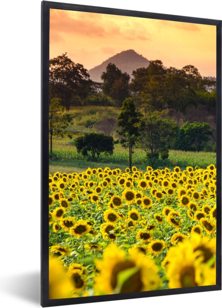 MuchoWow Gerahmtes Poster Sonnenblume - Natur - Berg 40x60 cm - Poster mit Schwarzem Bilderrahmen Wandposter Rahmen Foto Bilder - Papierdruck - W...