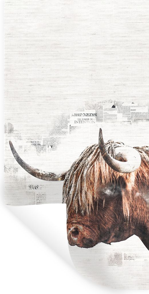 MuchoWow Wandtattoo Wandsticker Wandaufkleber Scottish Highlander - Tiere - Zeitungspapier 80x160 cm Selbstklebend und Repositionierbar - Sticker...