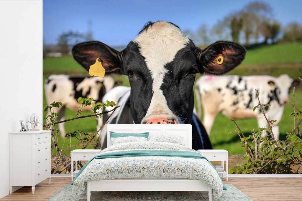MuchoWow Fototapete für Wohnzimmer oder Schlafzimmer Wandtapete Vinyl Motivtapete Kuh - Zaun - Gras - Tiere - 360x240 cm - Vinyl-Tapete