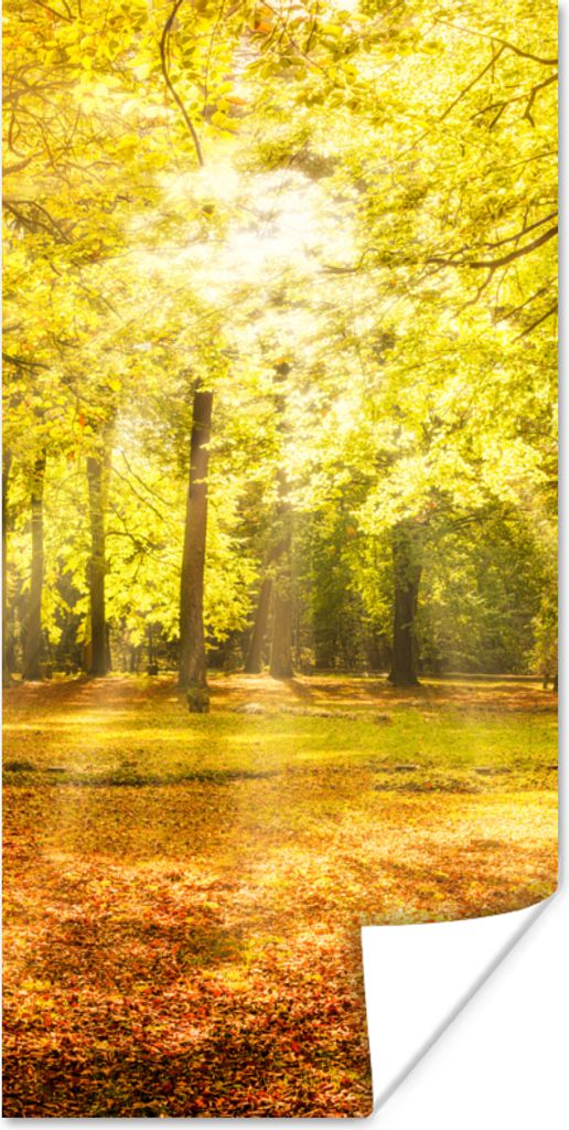 MuchoWow Poster Baum - Natur - Sonne - Landschaft - Wald 80x160 cm - Kinderzimmer