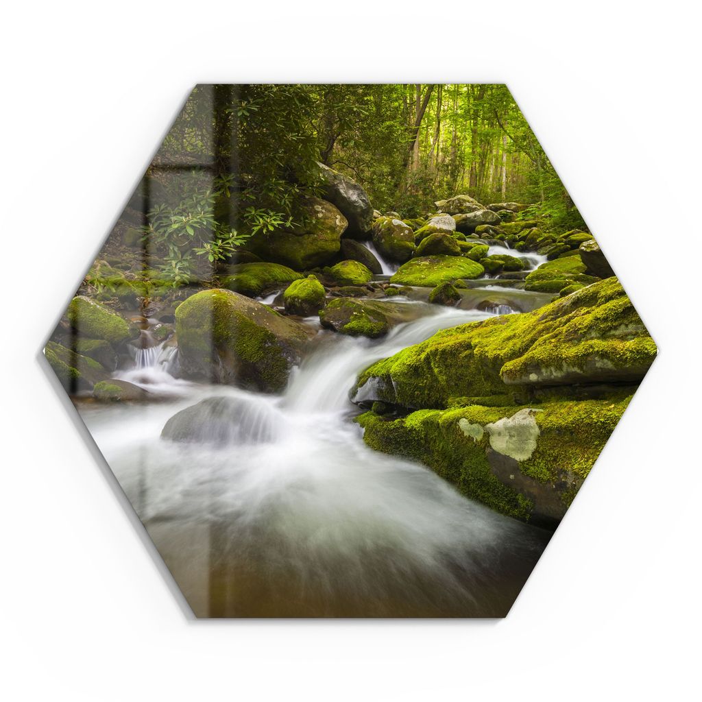 DEQORI Glasbild Echtglas 55x48 cm 'Sattgrüne Waldkulisse' Wandbild Bild modern Deko