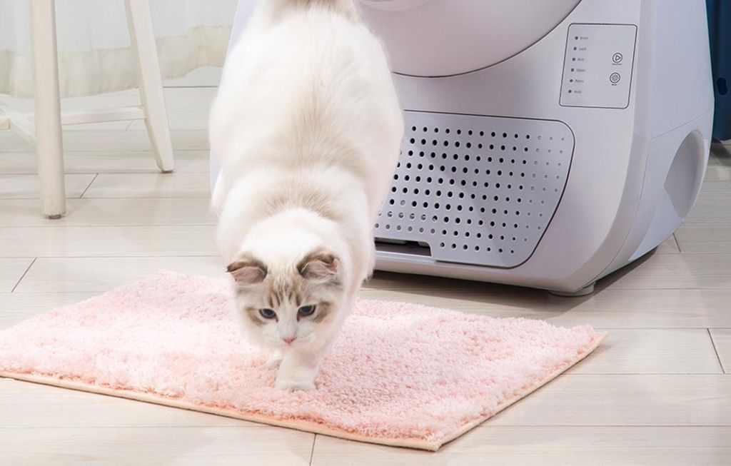 Samočistiaca podstielka pre mačky Catlink Scooper Young Obrázok produktu 4