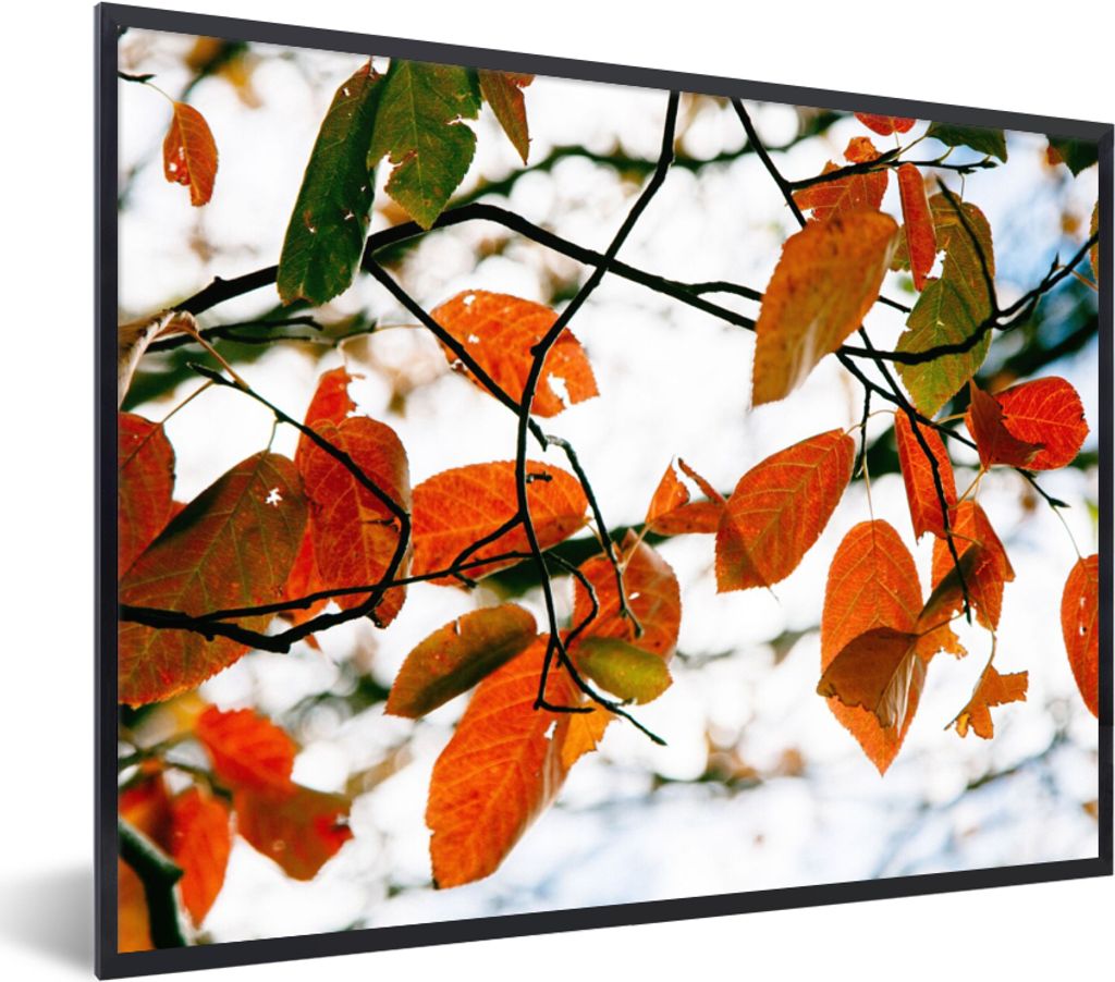 MuchoWow Gerahmtes Poster Herbst - Blätter - Landleben - Jahreszeiten 80x60 cm - Poster mit Schwarzem Bilderrahmen Wandposter Rahmen Foto Bilder...