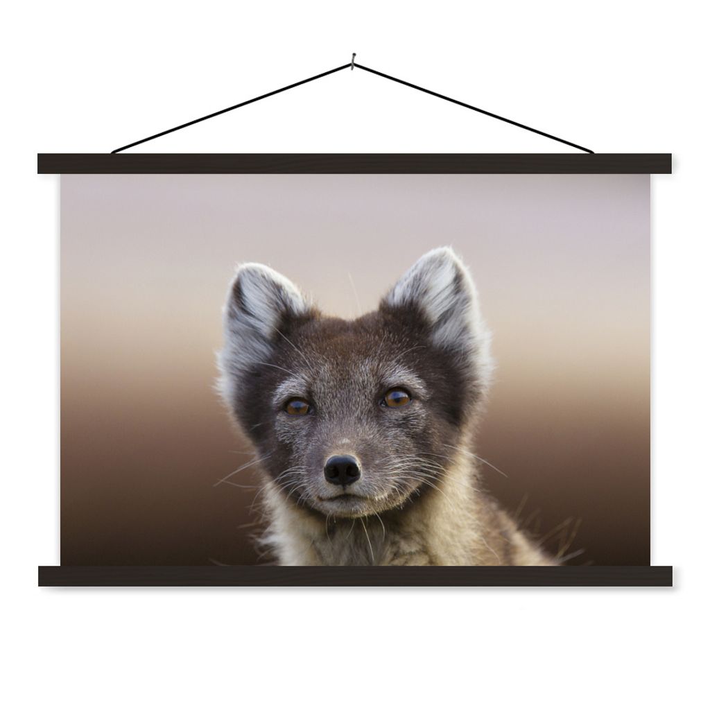 MuchoWow Textilposter Fuchs - Porträt - Braun 150x100 cm mit schwarzem Rahmen - Schlafzimmer