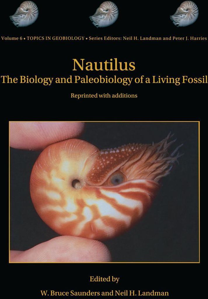 Nautilus