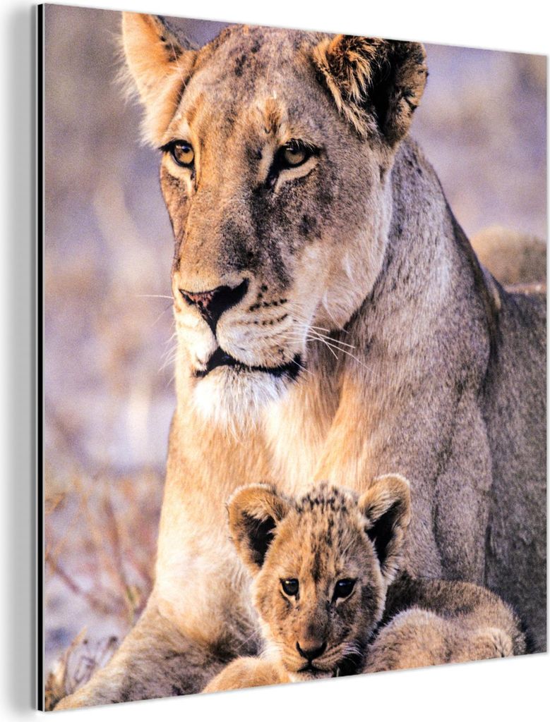 MuchoWow Wanddekoration Metall Metallbild Wandkunst 90x90 cm Löwin - Löwe - Junges MuchoWow Aluminium Gemälde - Dekoration - Industrial - Metall