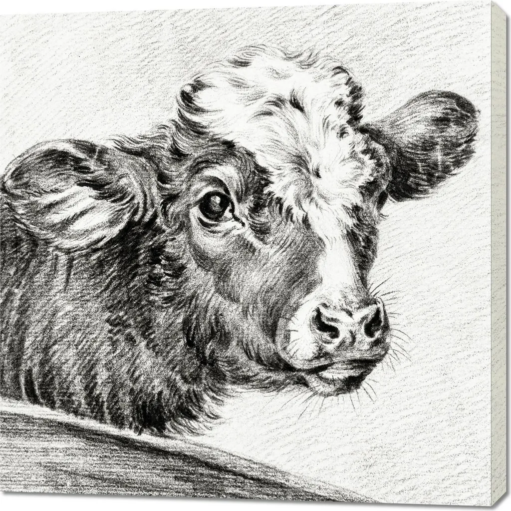Quadro 90x90 cm Testa di mucca, Jean Bernard Vintage per il salotto