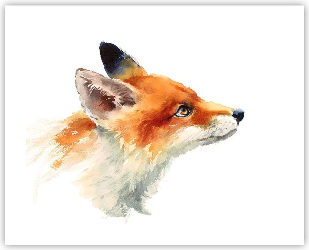Poster - Poster ohne Rahmen - Fuchs Tier Natur - 50x40 cm - Wand Bild - Wanddeko - Wandbilder - Kunstposter - Wandposter - Bilder - Kunstdruck - Wa...