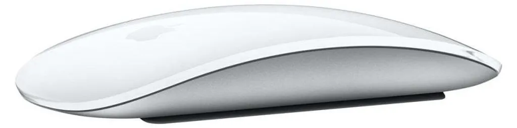 Apple Magic Mouse MK2E3ZM/A - Souris Rechargeable à Surface Tactile - 9