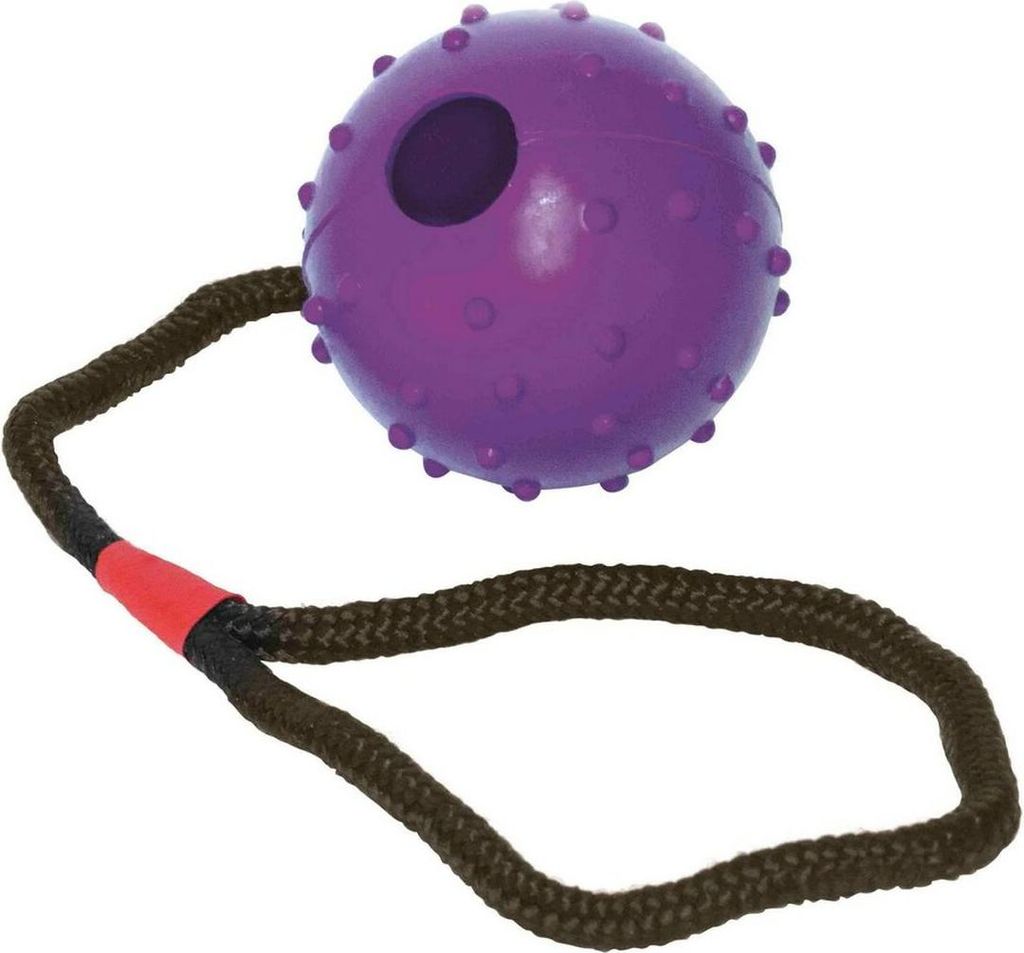 Beißring für Hunde Gloria Mit Seil 7 cm (7 x 30 cm)