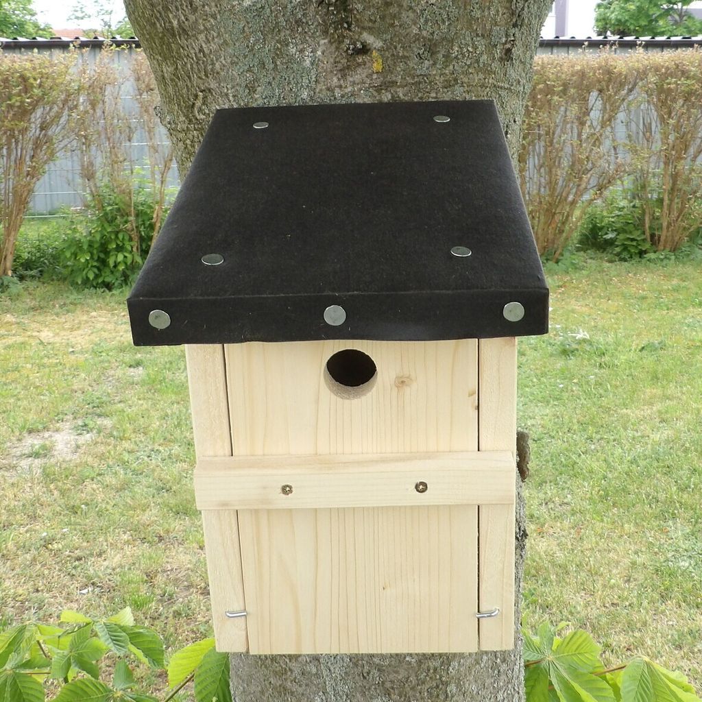 Nistkasten "Kohlmeise" 32 mm fertig montiert