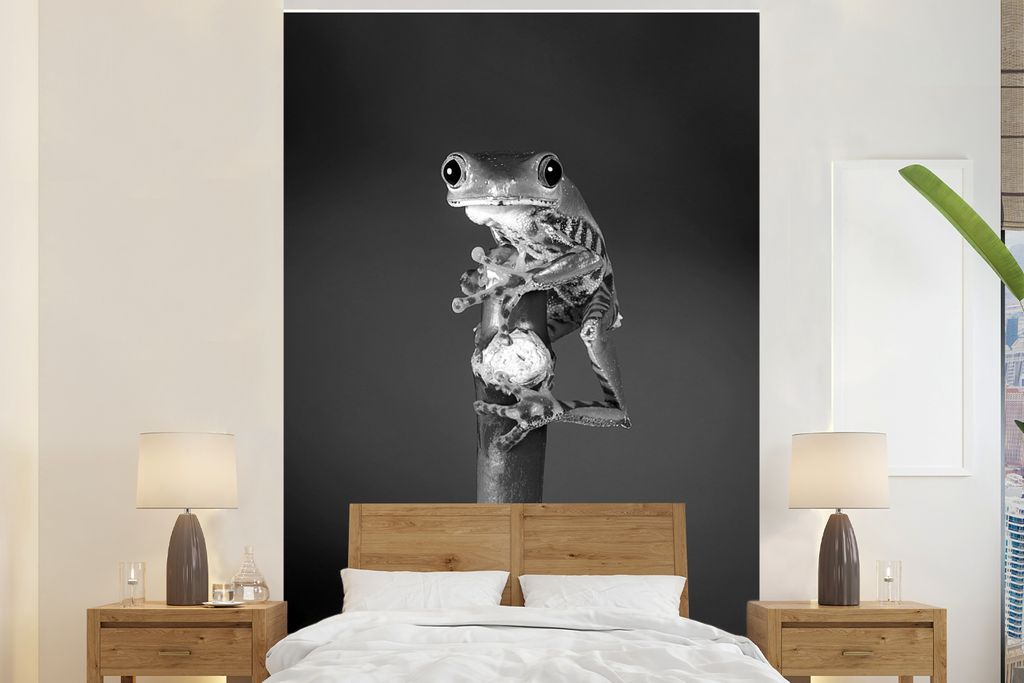 MuchoWow Fototapete für Wohnzimmer oder Schlafzimmer Wandtapete Vinyl Motivtapete Frosch auf einer Pflanze Nahaufnahme - schwarz und weiß - 170...
