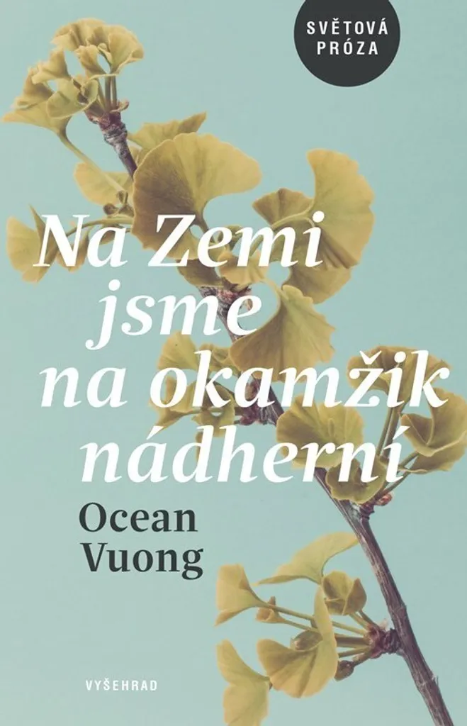 Sur la terre nous sommes brièvement incroyables - Roman Ocean Vuong