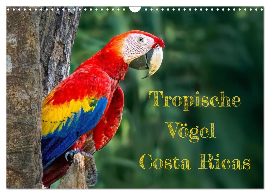 Tropische Vögel Costa Ricas (Wandkalender 2027 DIN A3 quer), CALVENDO Monatskalender
