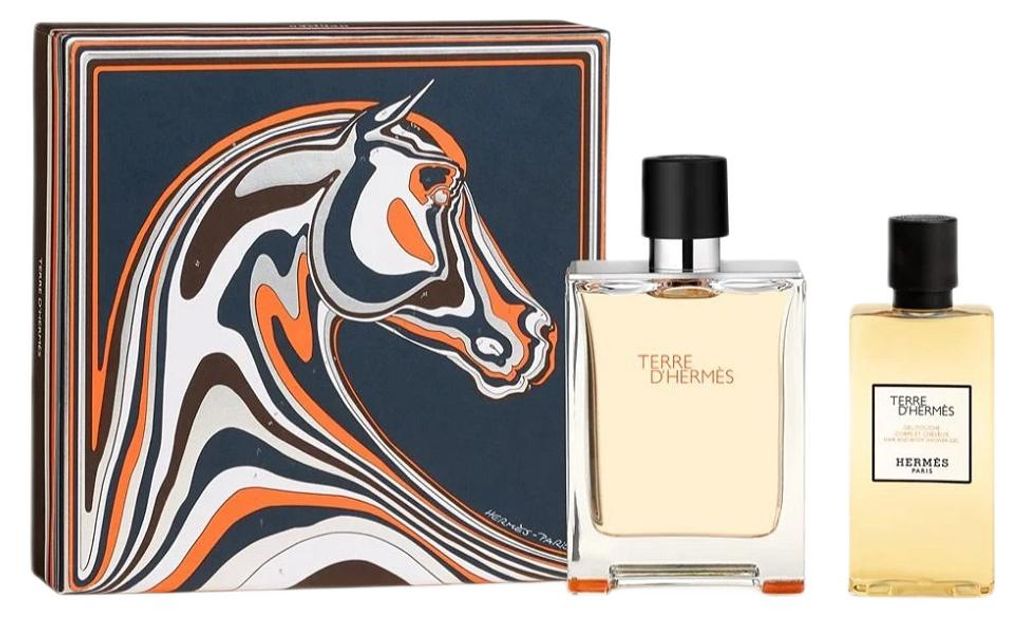 Hermès Terre d’Hermès Set EDT 100 ml + Duschgel