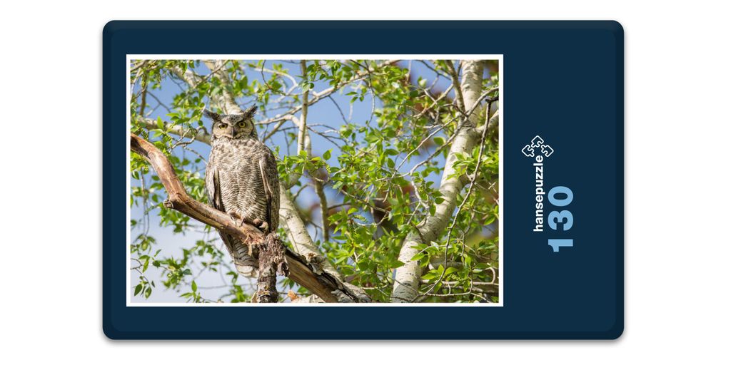 hansepuzzle 19620 - Eule Puzzle, 130 Teile, Tierwelt, 28,7 x 20,0cm mit hochwertiger Aufbewahrung, Kartonbox und wiederverschließbarem Beutel