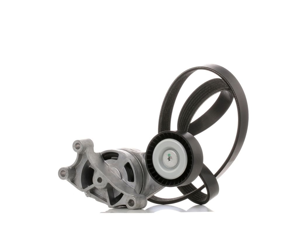RIDEX 542R0211 Keilrippenriemensatz für VW GOLF VI (5K1)