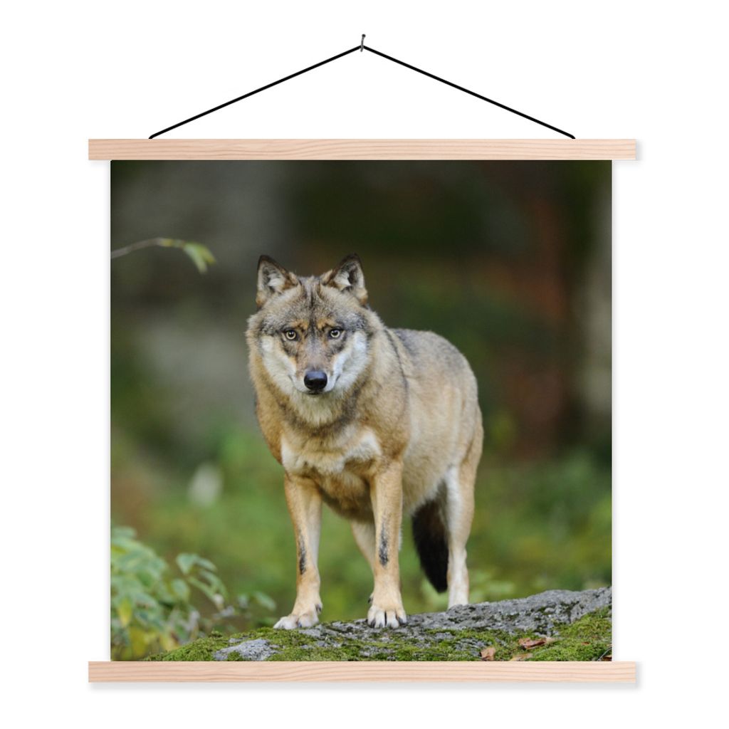 MuchoWow Textilposter Wolf - Asien - Pflanzen 60x60 cm mit holzfarbenen Rahmen - Wanddekoration