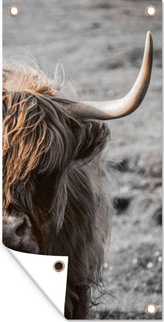 MuchoWow 40x80 cm Outdoor-Poster Gartendeko Sichtschutz Garten Poster für den Garten Schottische Highlander - Kühe - Natur