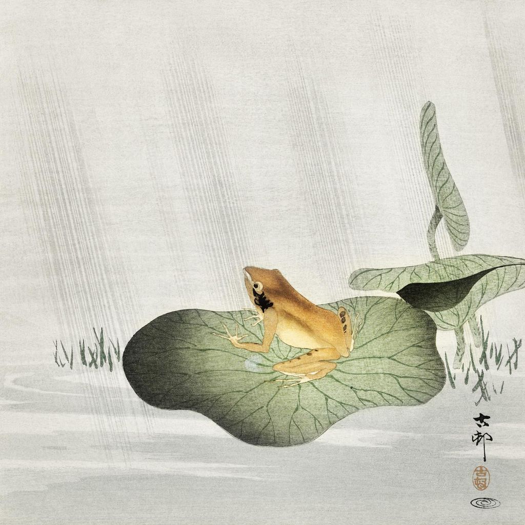 Plakat 30x30cm Frosch auf Lotusblatt, Japanischer Koson Vintage für das Wohnzimmer