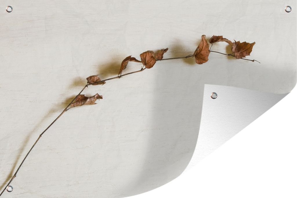 MuchoWow 90x60 cm Outdoor-Poster Gartendeko Sichtschutz Garten Poster für den Garten Zweig mit kleinen braunen Blättern vor einem weißen Hint...