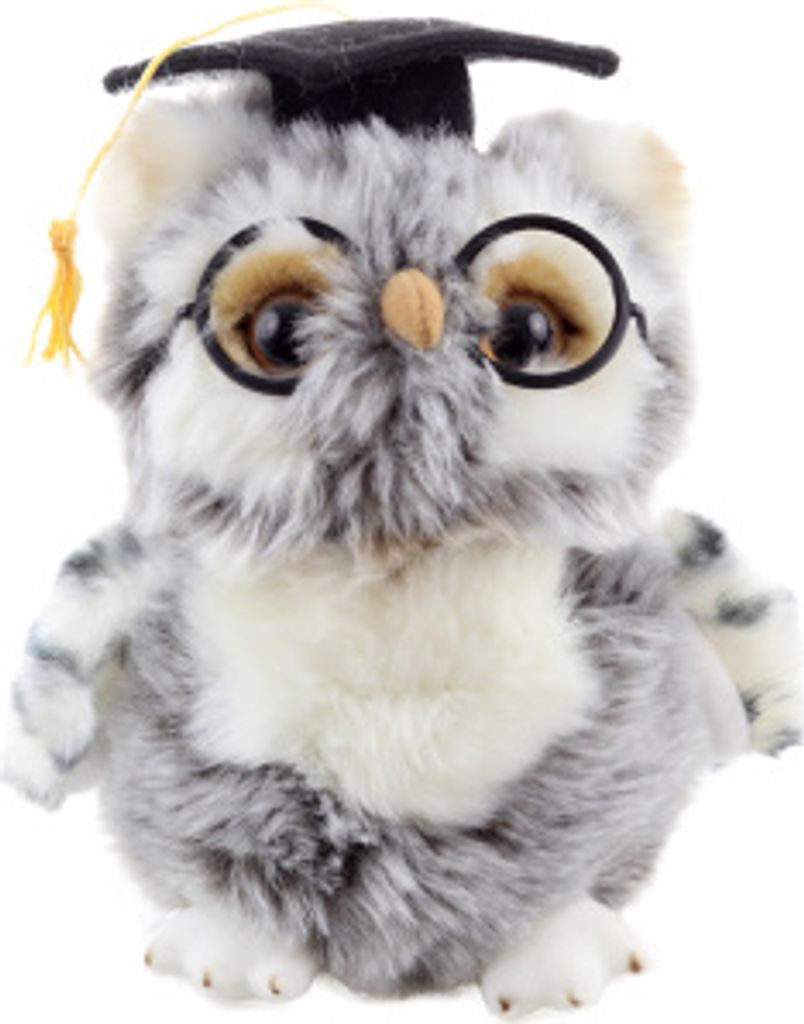 A plush owl wearing a graduation cap and glasses.