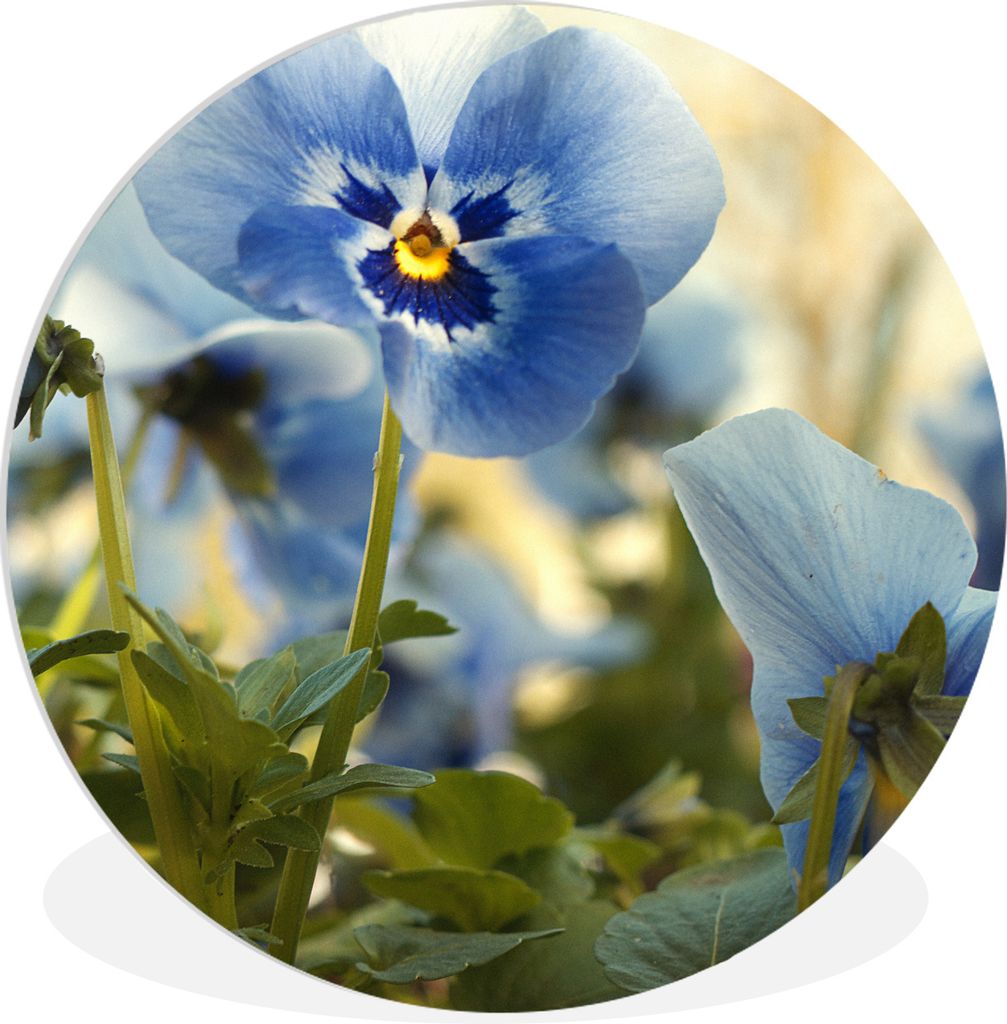 MuchoWow Rundes Wandbild - Runde Bilder Blauviolett Ø 30 cm Kreis Wanddekoration Kunststoff - Wandkreis - Wandschmuck - Schlafzimmer - Bilder - ...