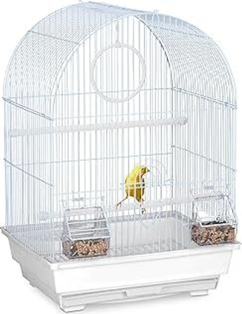 Gabbia Professionale Canarini 49x34 cm - Set Completo Accessori