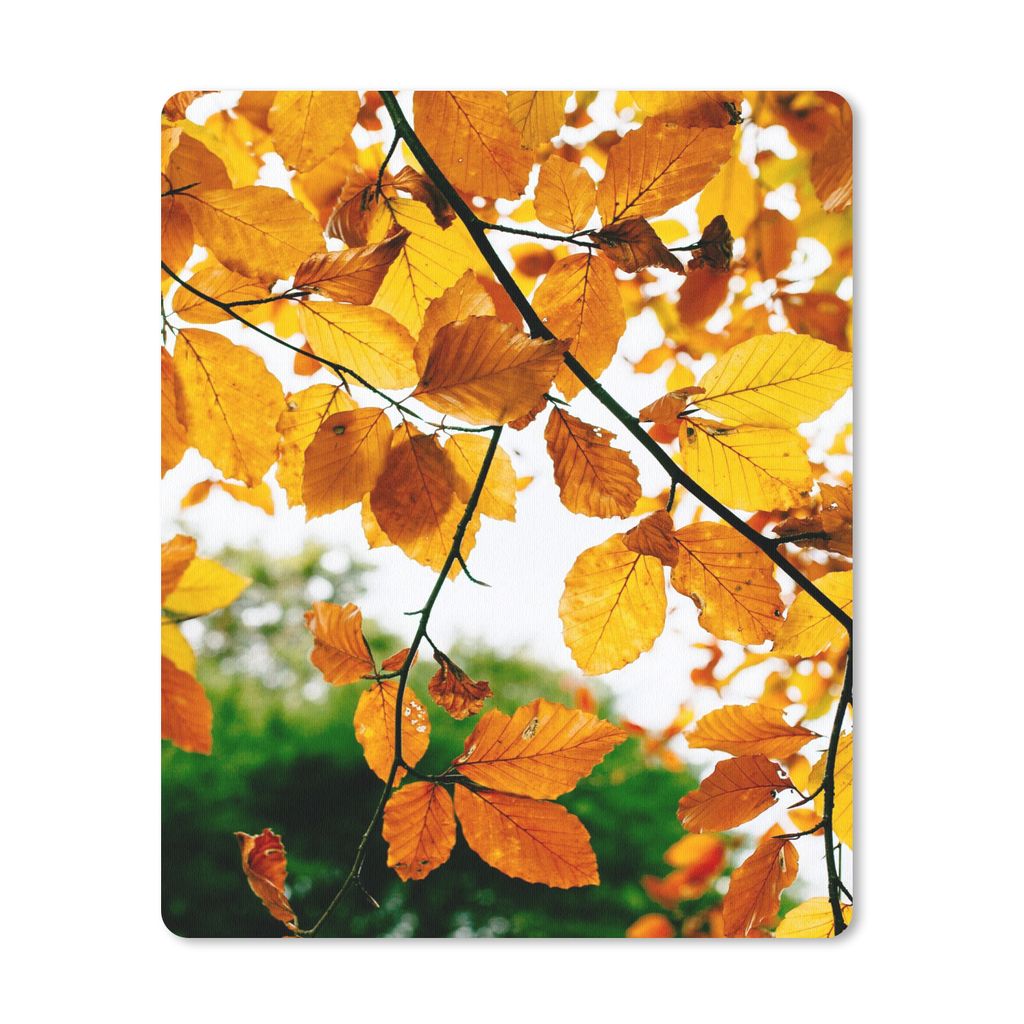 MuchoWow Mauspad Mousepad Herbstblätter - Baum - Rustikal 30x40 cm - Mousepads - Maus Mat - Pad - Mausunterlage - Mausmatten