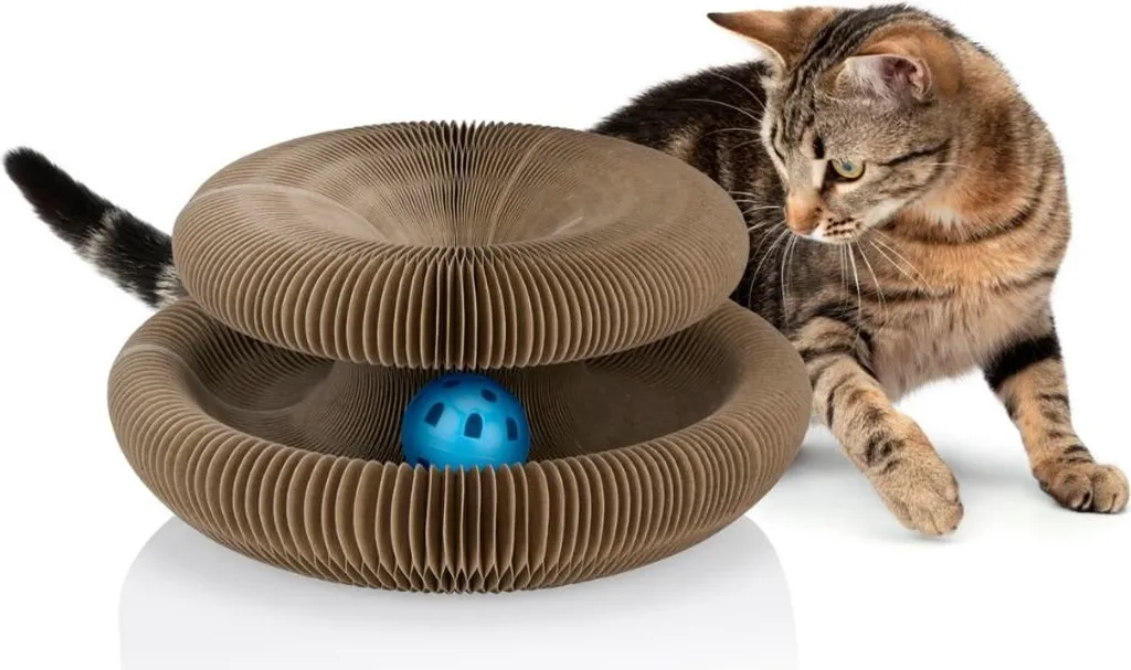 Protégez vos Canapés avec le Griffoir Chat Maxxpro et Herbe à Chat