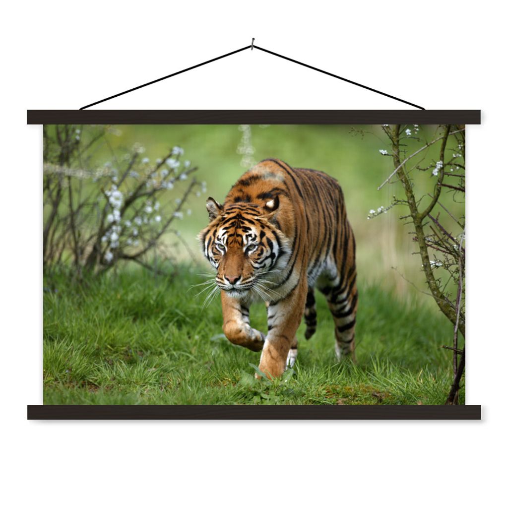 MuchoWow Textilposter Nahaufnahme eines Sumatra-Tigers 90x60 cm mit schwarzem Rahmen - Aufhängungssatz
