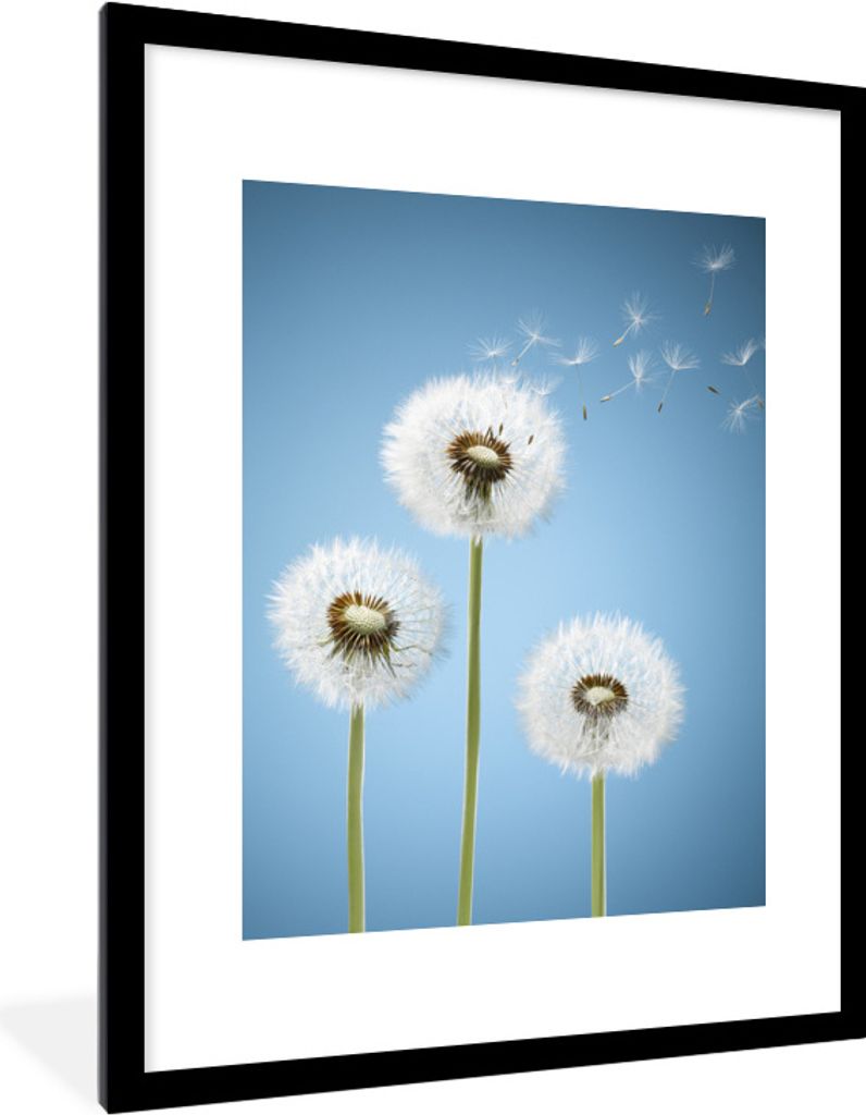 MuchoWow Gerahmtes Poster Illustration - Löwenzahn - Saatgut 60x80 cm - Poster mit Schwarzem Bilderrahmen Wandposter Rahmen Foto Bilder - Wohnzi...