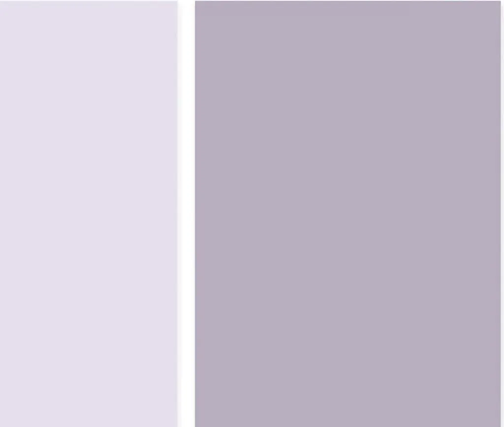 Fond photo anti-reflet violet double face pour éliminer les retouches