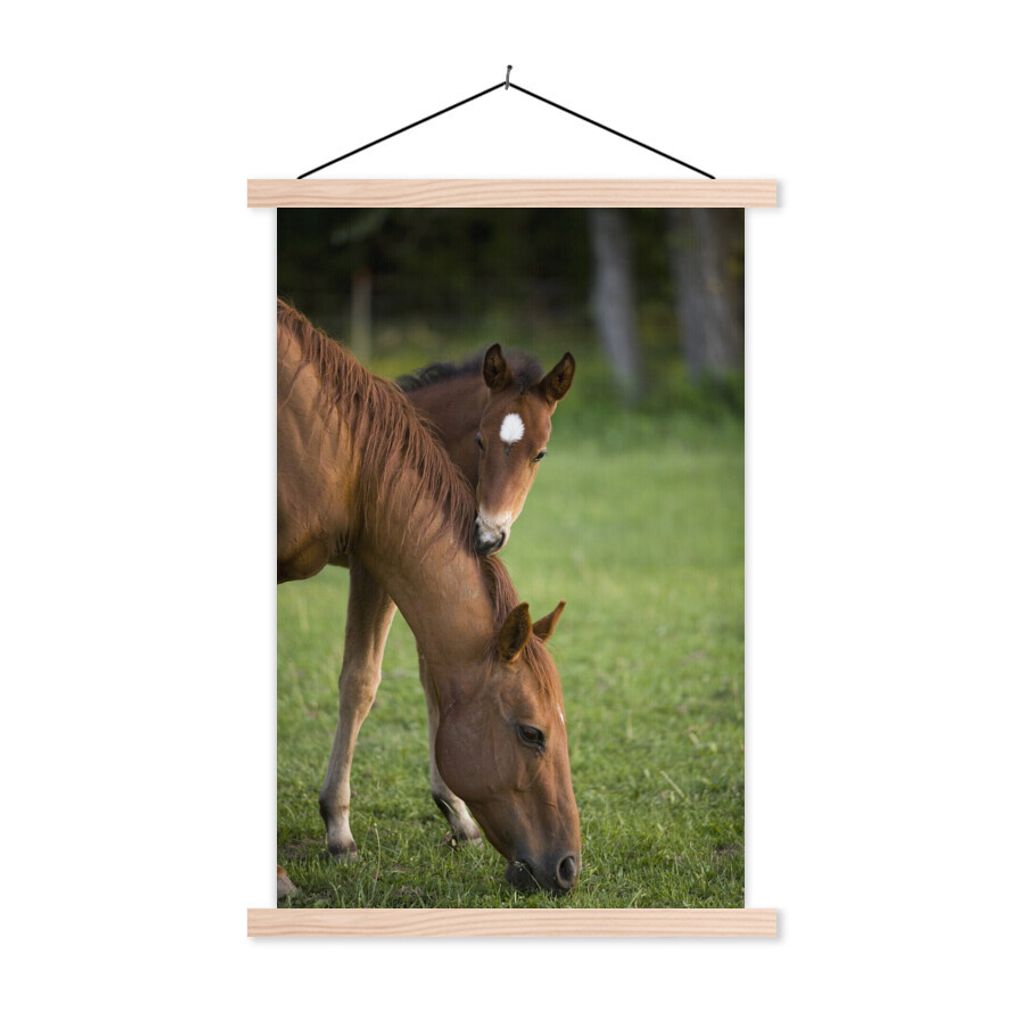 MuchoWow Textilposter Pferde - Gras - Porträt 60x90 cm mit holzfarbenen Rahmen - Textil