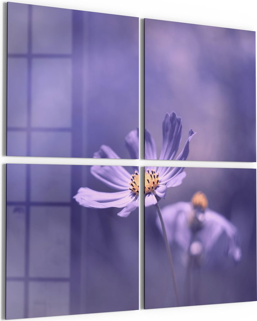 DEQORI Glasbild Echtglas 4x50x50 cm 'Lilablütenzauber' Wandbilder XXL groß