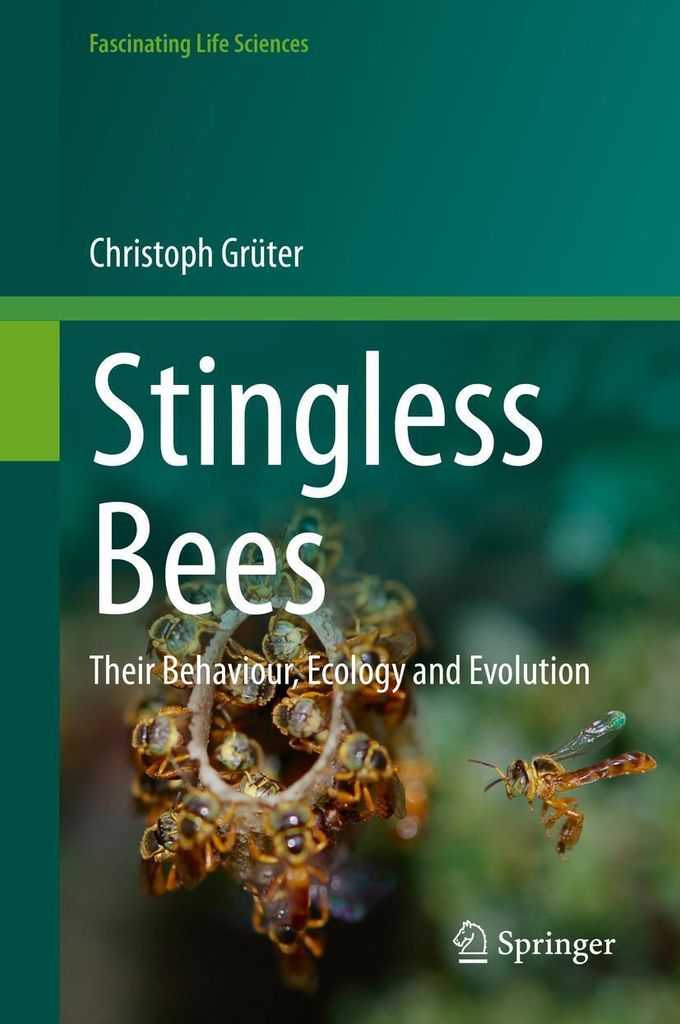 Stachellose Bienen