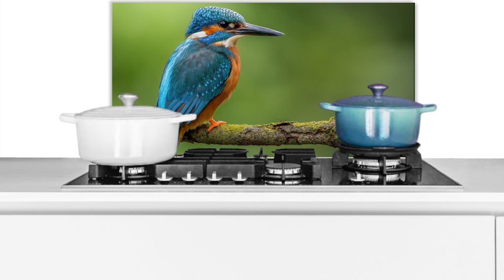 KitchenYeah Spritzschutz Küche - Küchenrückwand - Wandschutz für Herd und Spüle - Eisvogel - Zweig - Moos - Vogel - Grün 70x30 - Alu-Dibon...