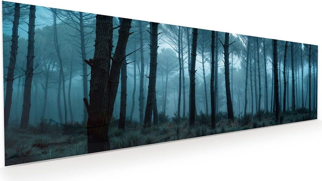Glasbild 120x40cm in XXL für Wohnzimmer, Schlafzimmer Motiv Nebeliger Wald